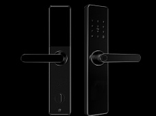 青松沃德-Wi-Fi 指紋鎖家用防盜門智能門鎖密碼鎖刷卡電子鎖 防磁干擾 防撬 L9-WT (不含鎖體，鎖體需另購）